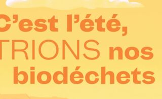 C'est l'été, trions nos biodéchets