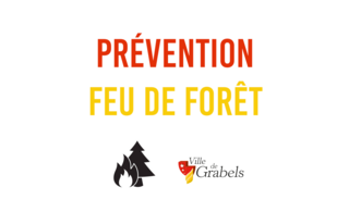 Les bons réflexes en cas de feu de forêt